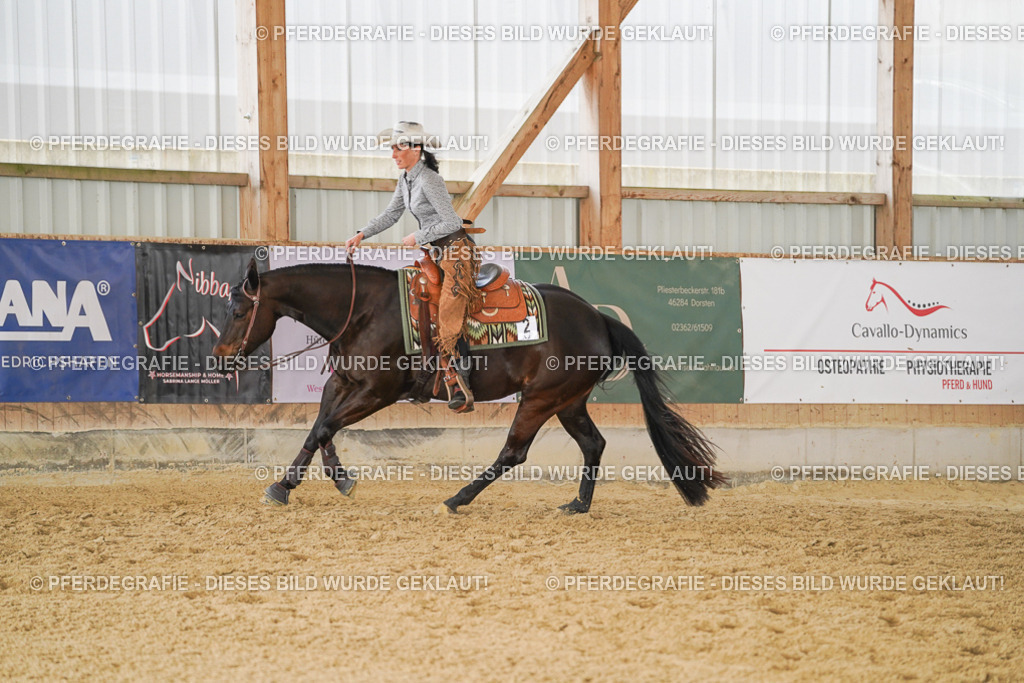 DSC02195 | Pferdegrafie