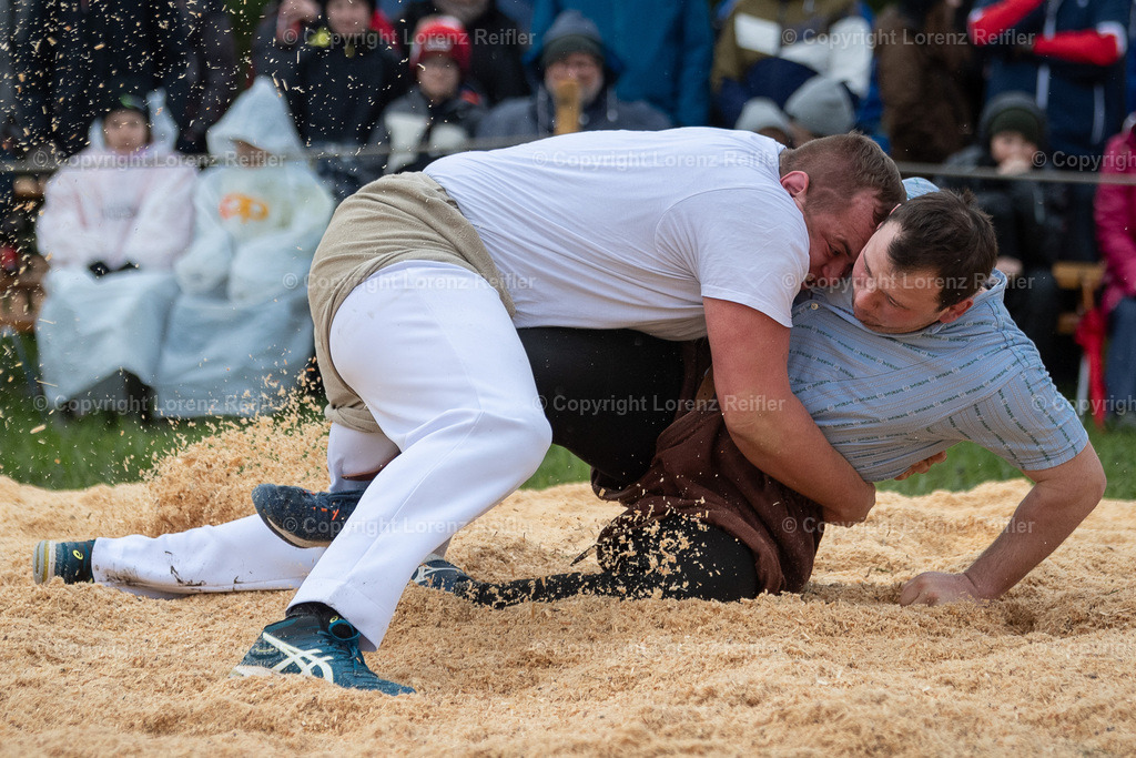 Schwingen -  Rheintal-Oberländer 2024 | Trübbach, 24.3.24, Schwingen - Rheintal-Oberländer.