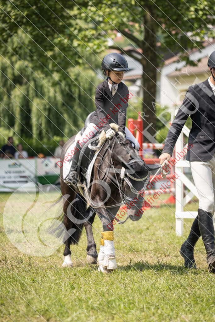 IMG_0281 | Sport-, Event- und Tierfotos in Profiqualität. Einfach auswählen, bestellen und herunterladen. Dein Moment – perfekt festgehalten.