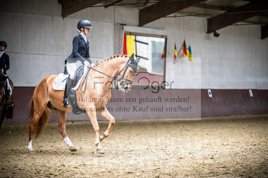 DOS_0377 | Reitturnier Lüdinghausen - Realisiert mit Pictrs.com