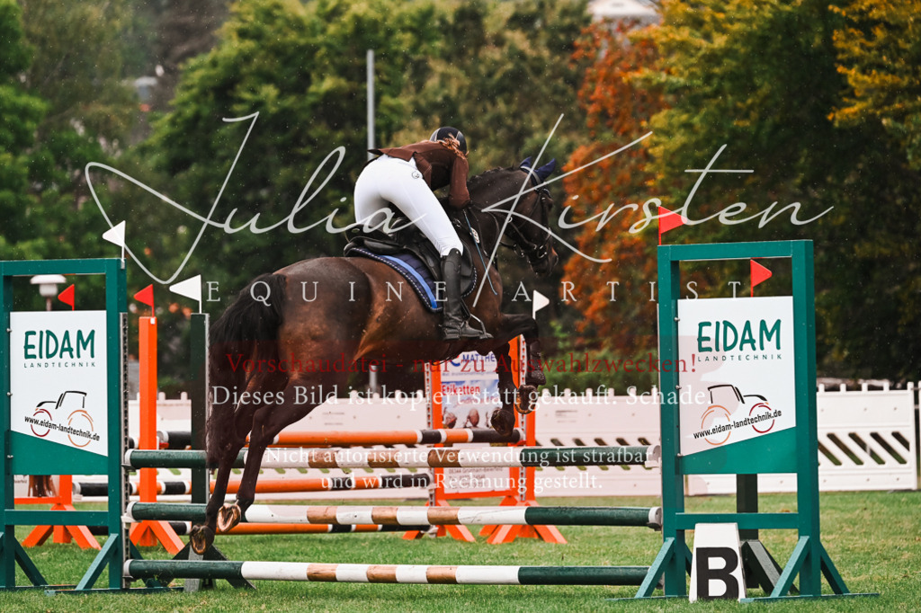 DSC_6596 | Pferde- und Turnierfotografie in Westsachsen. Pferdeportraits, Auftragszeichnungen und intuitive Kunst.