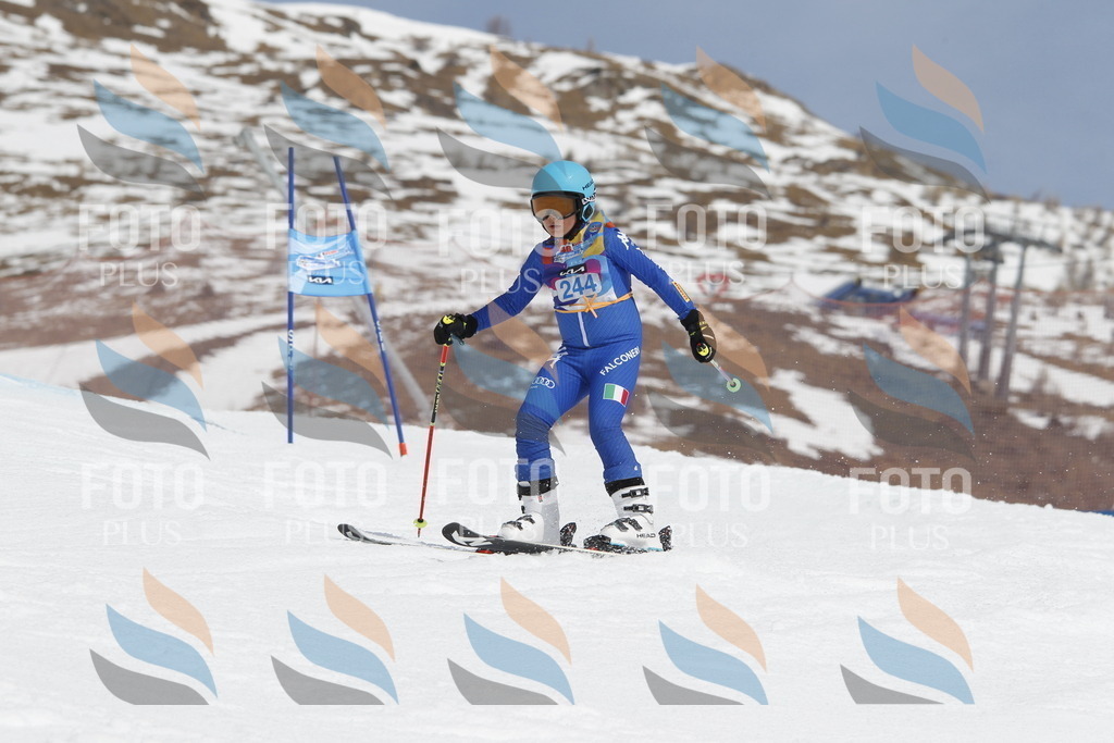 _U3G2767 | holidayphoto