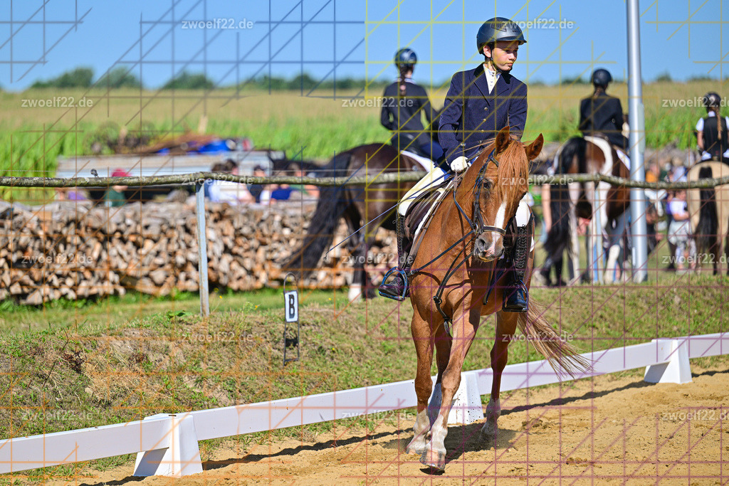 30 Jahre RFV Pulsnitz e.V., Pulsnitz am 09.08.2026 | Zur 28. breitensportlichen Veranstaltung des RFV Pulsnitz e.V. fanden verschiedene Wettbewerbe in nahezu allen Disziplinen des Pferdesport statt. - 04. Großer Dressur-Wettbewerb - Realisiert mit Pictrs.com