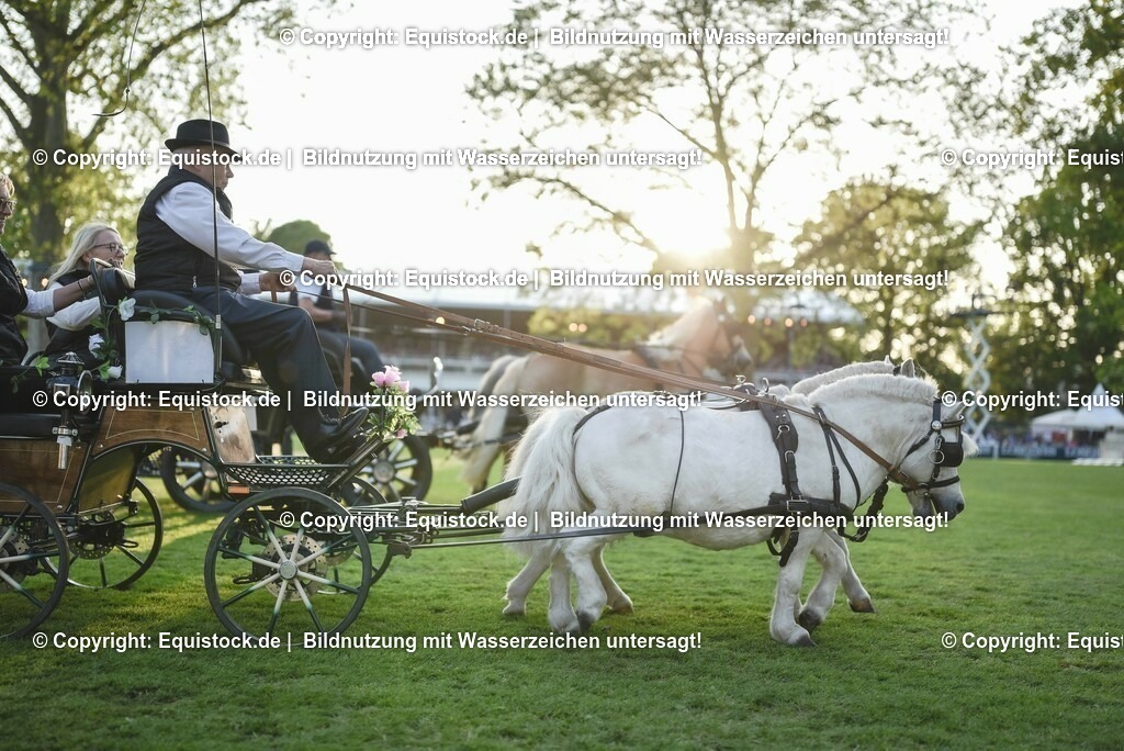 20230526_Pferdenacht_0104 | equistock