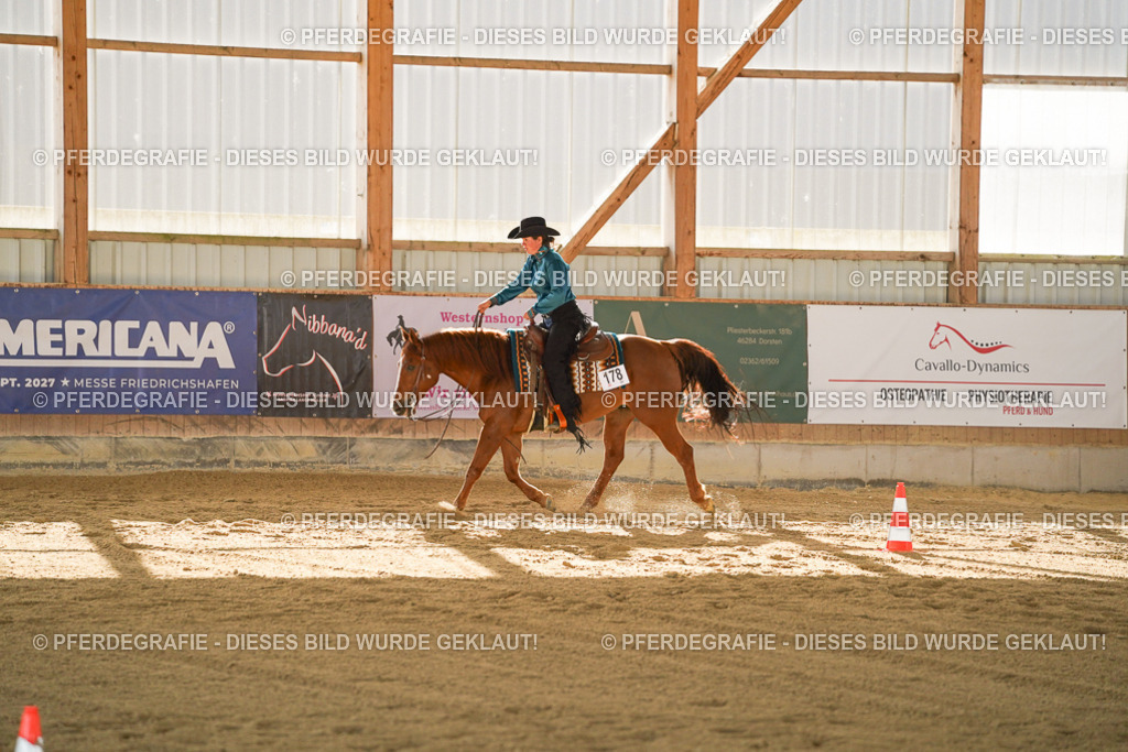 DSC00627 | Pferdegrafie