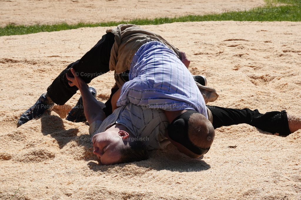 DSC04715 | Schwingen - Realisiert mit Pictrs.com