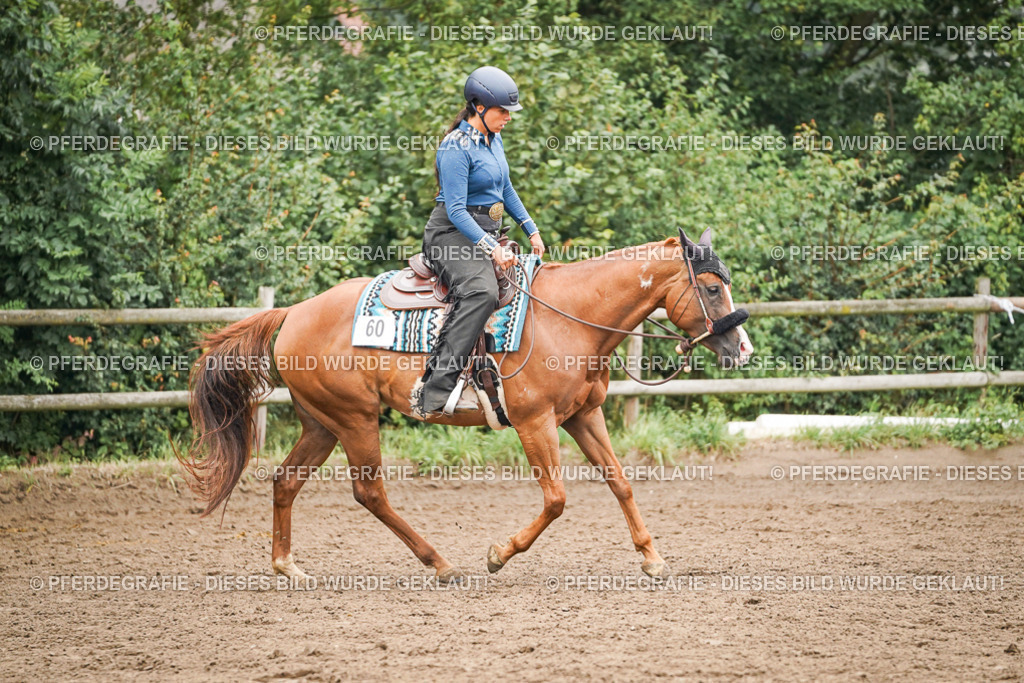 DSC02315 | Pferdegrafie