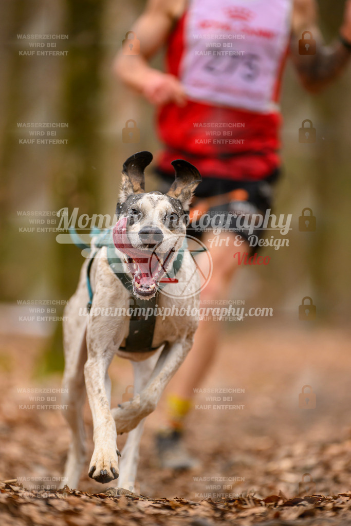 MompixPhotography_Habay2025_SA_CCC-46 | PayLife