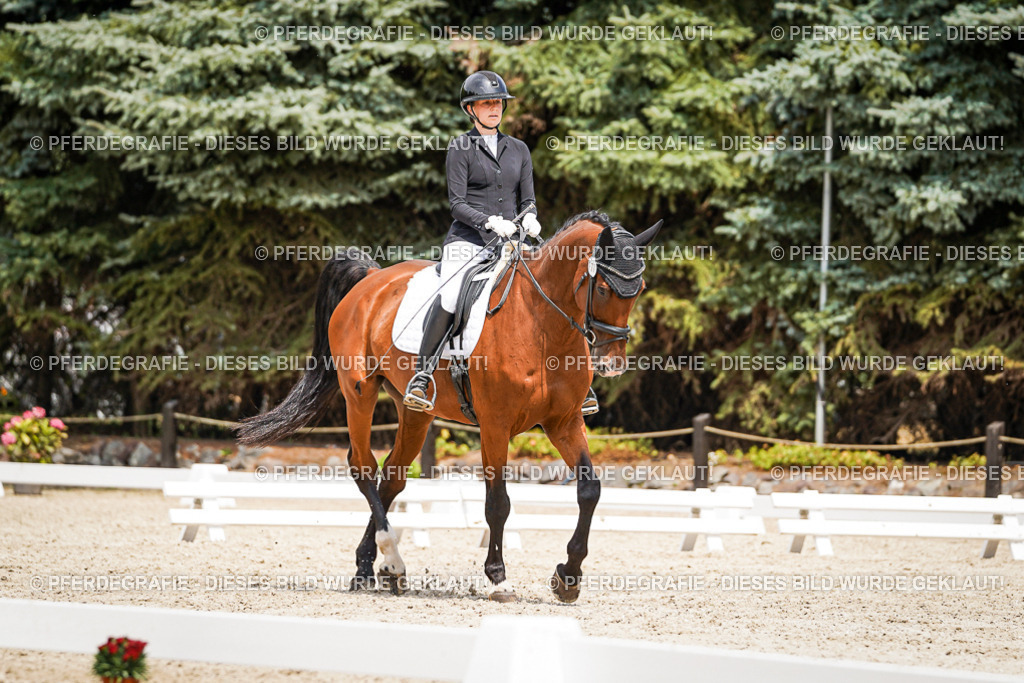 DSC03593 | Pferdegrafie