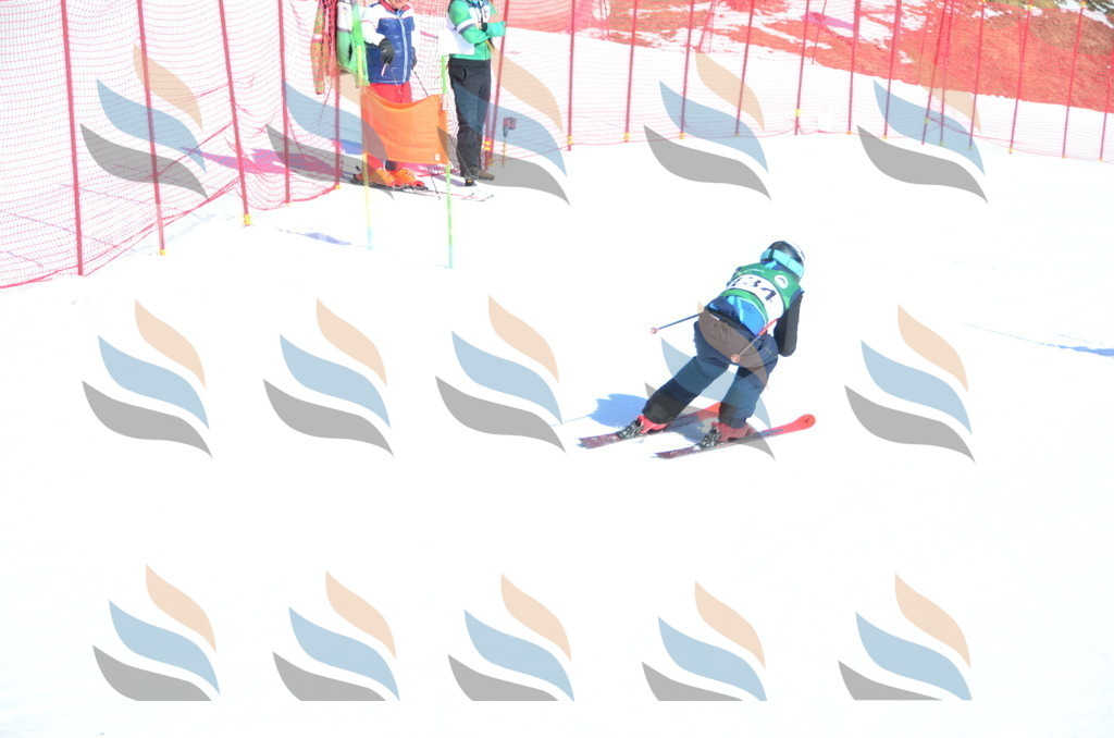 C5991 | holidayphoto