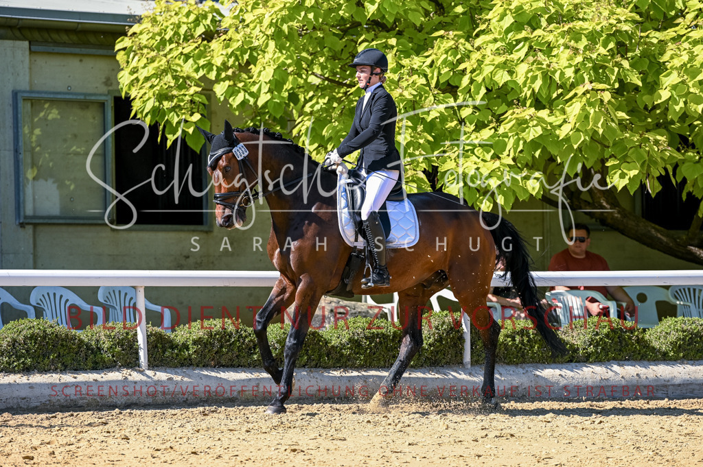 Schugtsche-Aluta25-50.Dressurpferdeprf.L-173 | Schugtsche Fotografie - Realisiert mit Pictrs.com