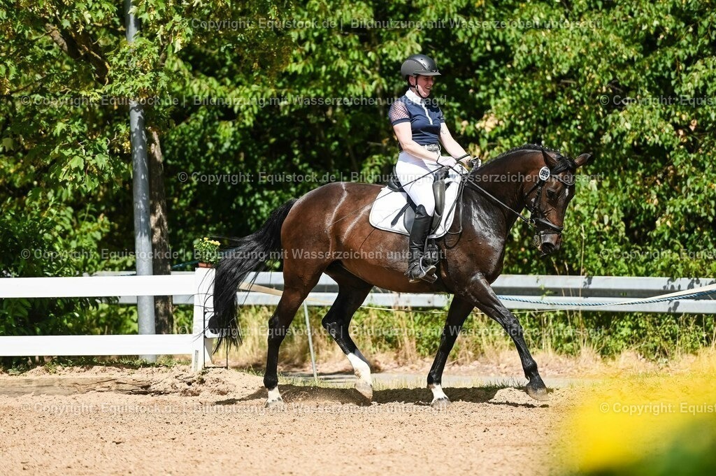 20230715_02_Dressurreiterprüfung Kl.L_0116 | equistock