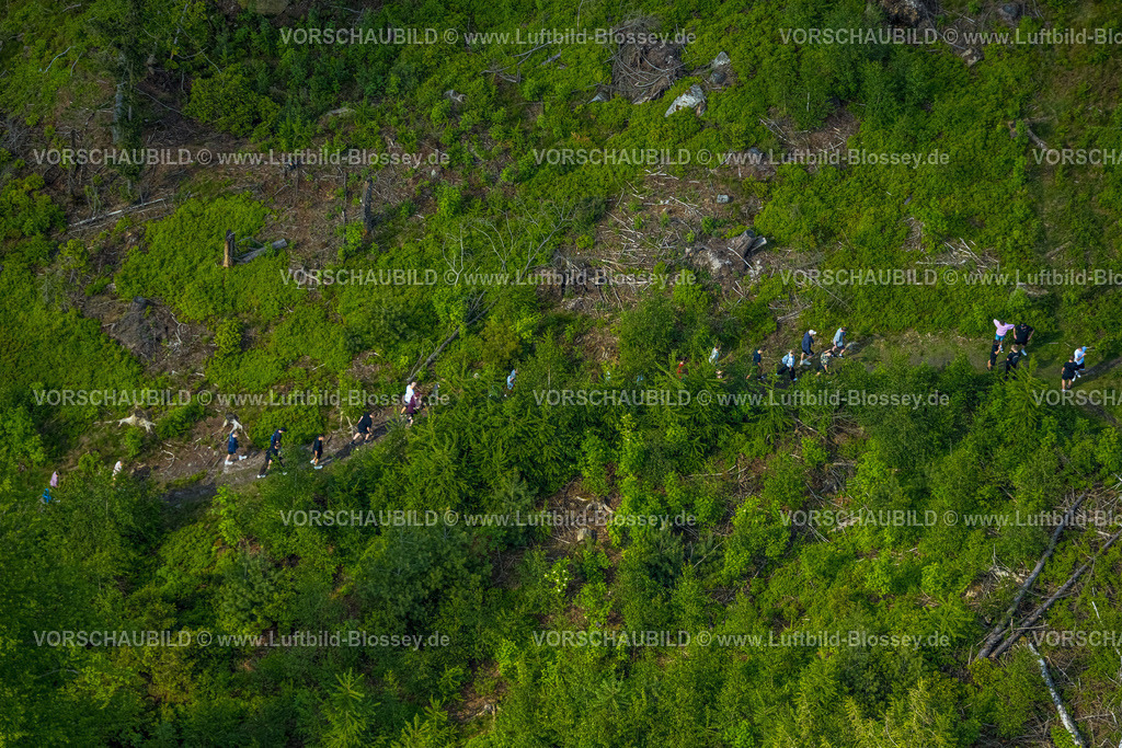 Horn-BadMeinberg240506004LippischerVelmerstot | Luftbild, Wandergruppe im Wald Eggeosthang mit Waldschäden, Teutoburger Wald, Leopoldstal, Horn-Bad Meinberg, Ostwestfalen, Nordrhein-Westfalen, Deutschland