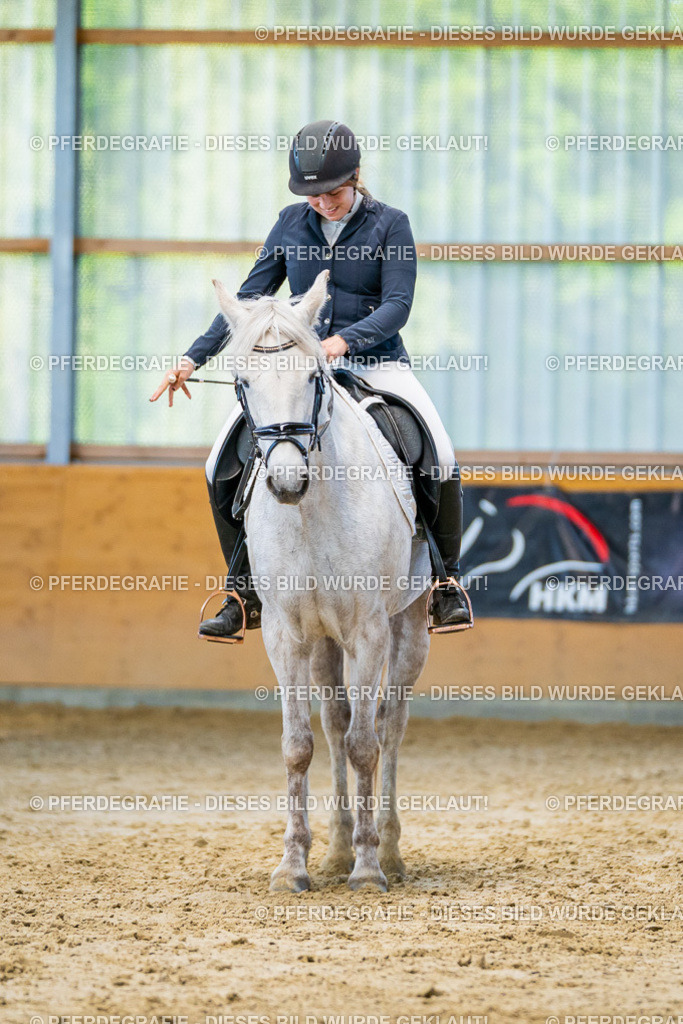 DSC06940 | Pferdegrafie