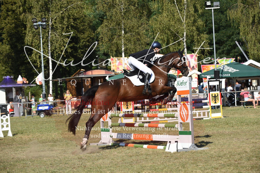DSC_5406 | Pferde- und Turnierfotografie in Westsachsen. Pferdeportraits, Auftragszeichnungen und intuitive Kunst.
