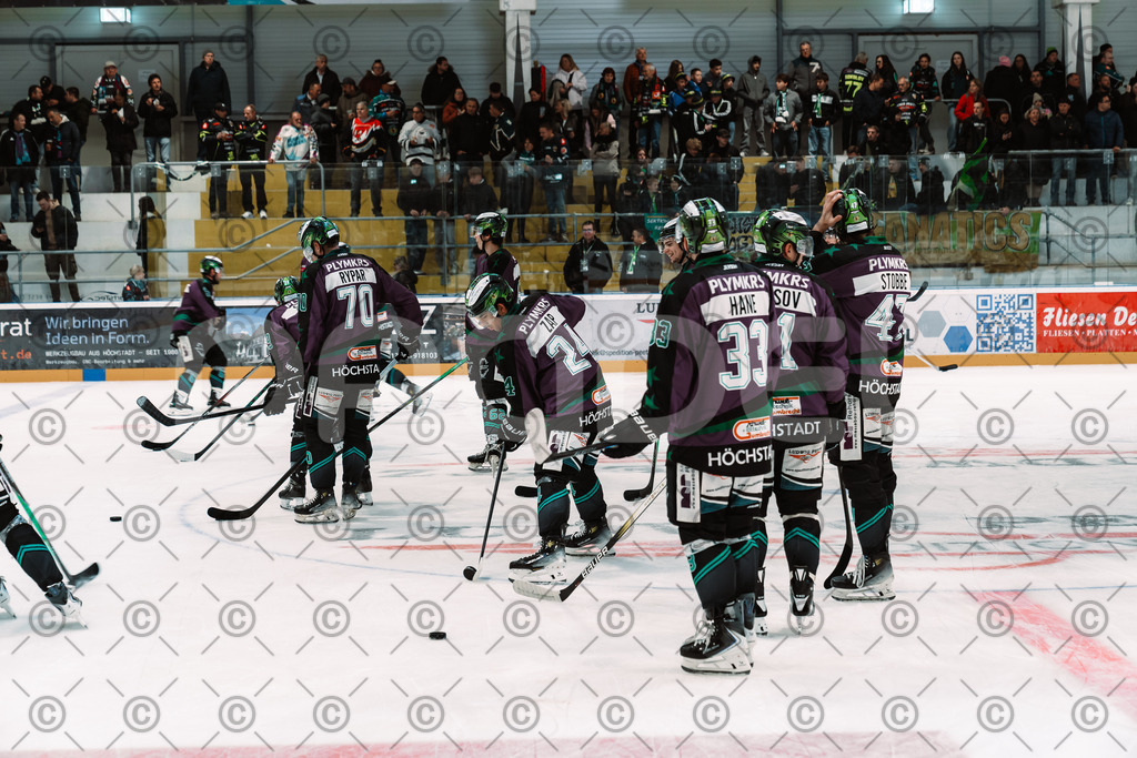 Alligators_vs_Bayreuth_10_2025-28 | Höchstadt Alligators Fotogalerie: Eishockey-Action aus Franken. Professionelle Spielfotos, Portraits & Stadionbilder zum Download. Jetzt entdecken! - Realisiert mit Pictrs.com