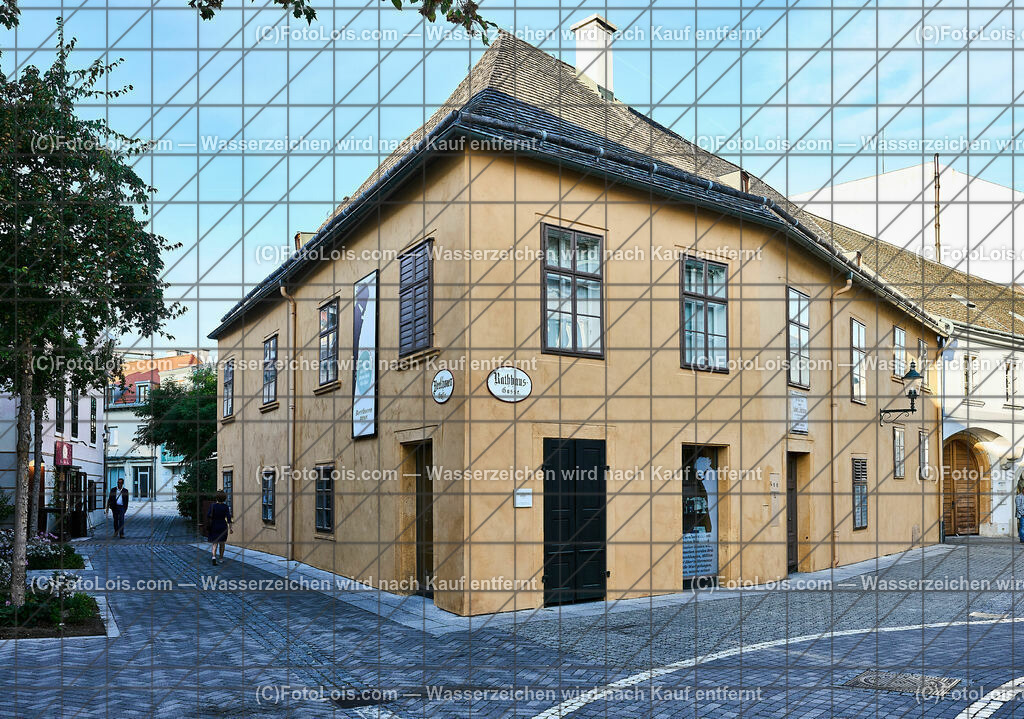 ALP5590_Baden_Beethovenhaus | (C)FotoLois.com, Alois Spandl, Baden bei Wien im Abendlicht, Mo 2. Oktober 2023.