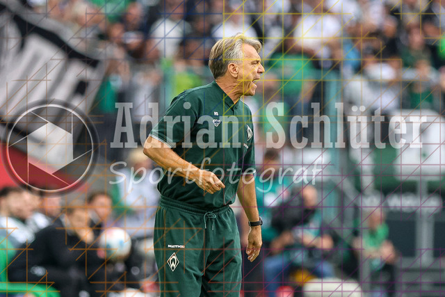Borussia Mönchengladbach vs SV Werder Bremen - Bundesliga  | Mönchengladbach, Deutschland, 14.09.25:   Trainer Horst Steffen (SV Werder Bremen) gestikuliert, Gestik waehrend des Spiels der Bundesliga zwischen Borussia Mönchengladbach vs SV Werder Bremen im Stadion im Borussia Park(Foto von Brauer-Fotoagentur / Adrian Schlueter)