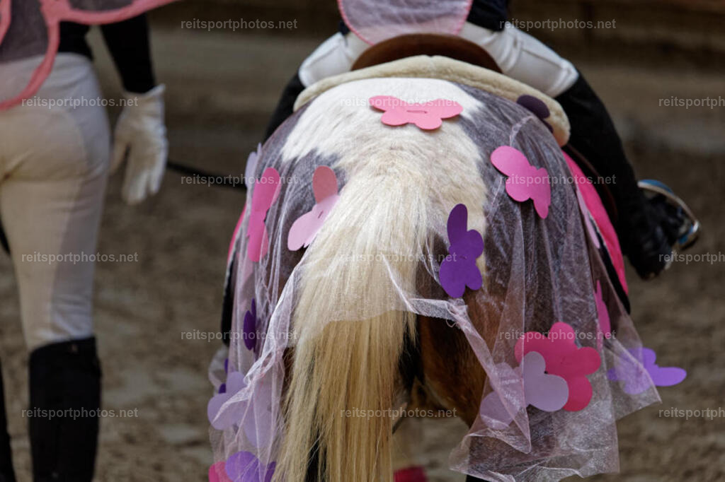 JHE30153 | JoYa Fotografie - Realisiert mit Pictrs.com