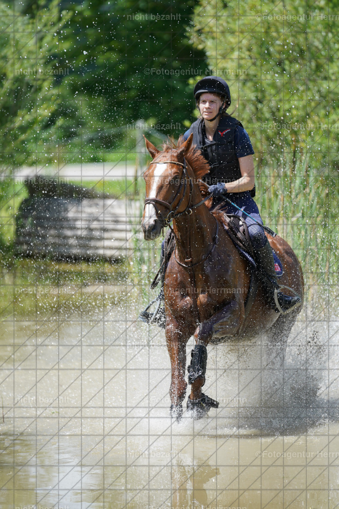 20240622-FAH07212 | Turnierfotografen Bayern, Reitsportbilder aus dem Geländekurs mit Felix Etzel auf dem Gut Waitzacker 2024
