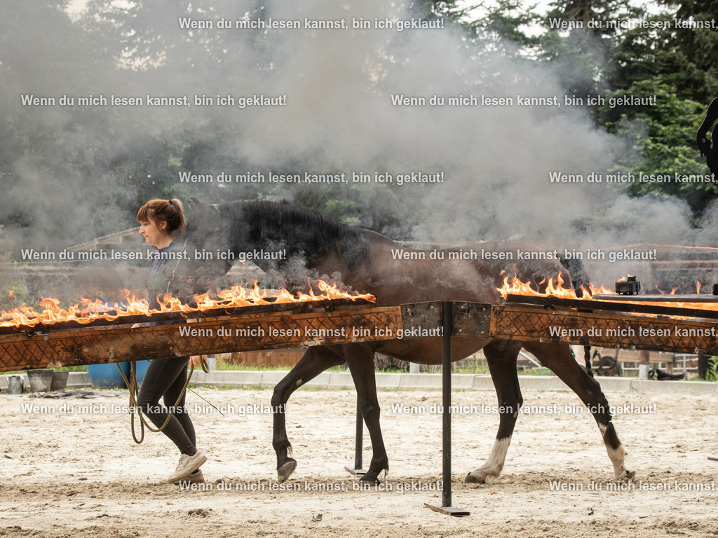 598A6684 | photographylinaismer - Realisiert mit Pictrs.com