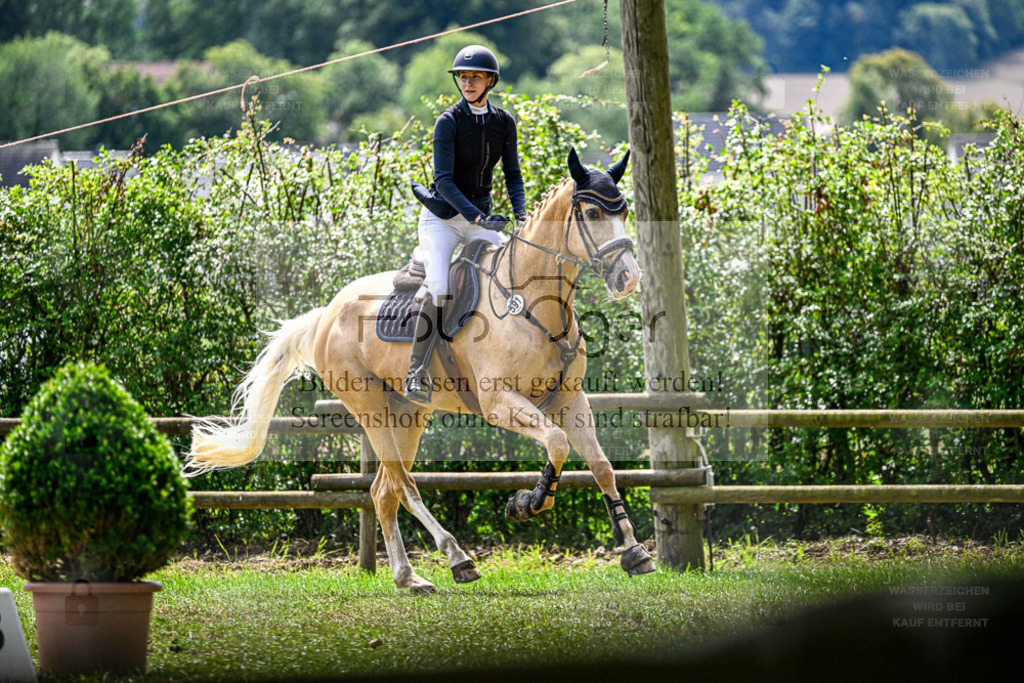 Bissendorfer Reitertage | Entdecke hochwertige Reitturnierfotos von Foto Oger. Professionell, emotional und authentisch – jetzt Lieblingsmomente im Shop bestellen. - Realisiert mit Pictrs.com