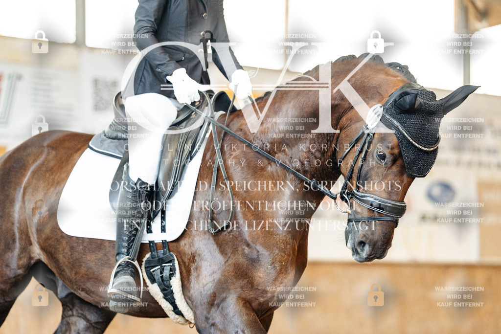 CK909488 | Turnierfotografie Pferdefotografie Trier Rheinland-Pfalz Pferdesport Reitsport Tierfotografie Sportfotografie Pferdevideo Pferdevideografie Equestrianvideography equestrianphotography  - Realisiert mit Pictrs.com