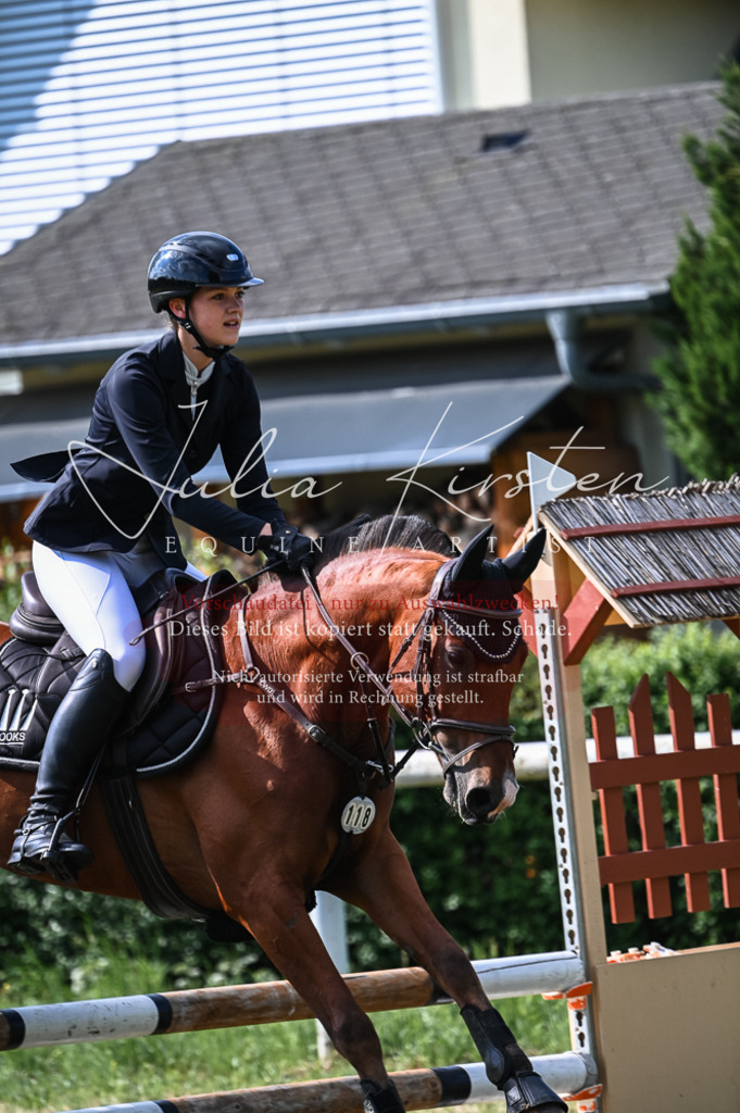 DSC_7916 | Pferde- und Turnierfotografie in Westsachsen. Pferdeportraits, Auftragszeichnungen und intuitive Kunst.