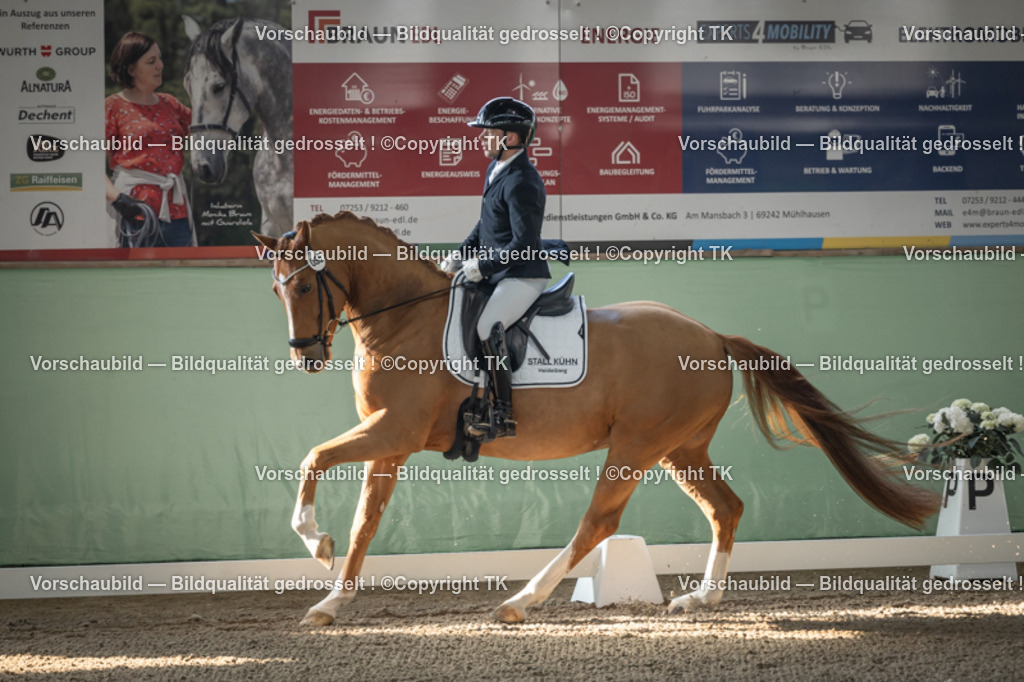 _D5A0431 | Emotionale Pferde- & People-Fotografie rund um Heidelberg, Leimen & Umgebung. Natürliche Fotos von Pferd, Mensch & Familie. Jetzt Termin sichern!