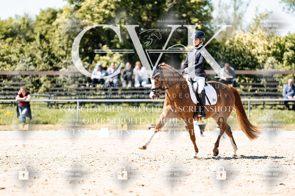 CK905622 | Turnierfotografie Pferdefotografie Trier Rheinland-Pfalz Pferdesport Reitsport Tierfotografie Sportfotografie Pferdevideo Pferdevideografie Equestrianvideography equestrianphotography  - Realisiert mit Pictrs.com