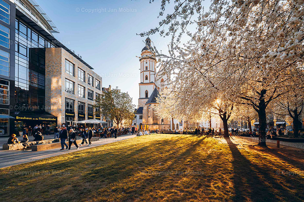 _DSC6456 | Leipzig Wandbilder Drucke Prints Leinwand Stadtmotive Leipzig Fotosdruck Kunstdrucke Bilder Leipzig Stadtansichten Acrylglasbilder Leipzig Wanddeko Fine Art Prints Wandbilder Büro Leipzig Bilder Praxis Zuhause Bilderdruck Poster Posterlounge Kunstdrucke - Realisiert mit Pictrs.com