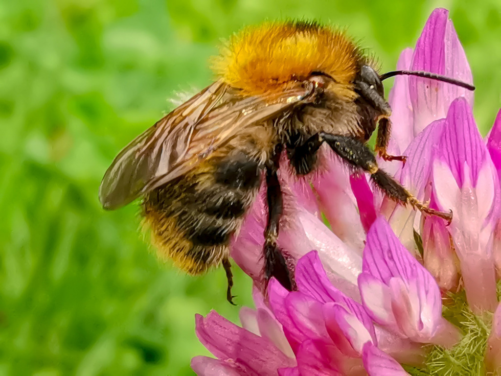 PSX_20230830_230530 | mtkfoto_ - Realisiert mit Pictrs.com