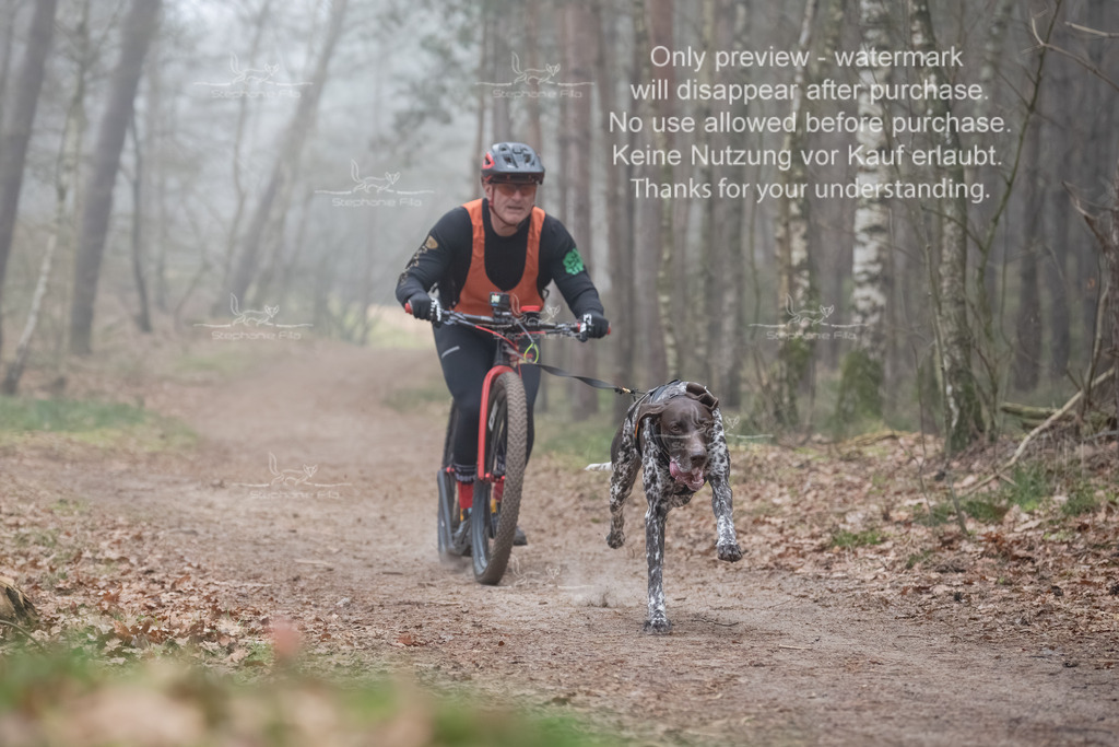 Scooter1-48 | stephaniefillaphotographie - Realisiert mit Pictrs.com