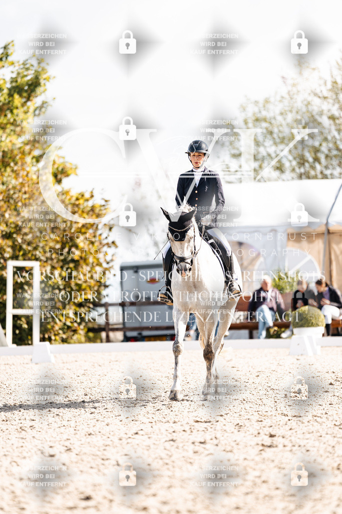 CK902064 | Turnierfotografie Pferdefotografie Trier Rheinland-Pfalz Pferdesport Reitsport Tierfotografie Sportfotografie Pferdevideo Pferdevideografie Equestrianvideography equestrianphotography  - Realisiert mit Pictrs.com