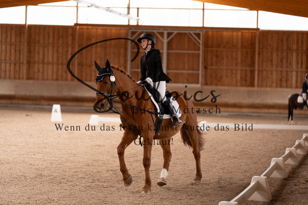 A7506861 | Turnier/Reitfotograf