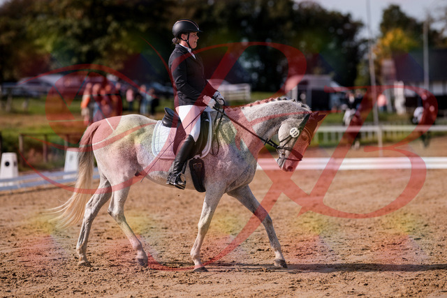 2026_10_03_Siefer-Hof_122810_Z81_26424783 | Professionelle Reitsport-, Turnier- und Eventfotografie von Robert Broda. Galerien mit ausgewählten und bearbeiteten Bildern direkt online ansehen und bestellen.
