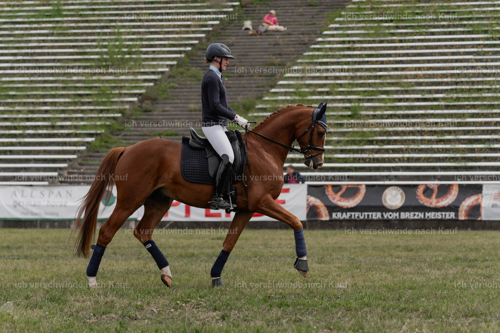 Showprogramm-73 | working equitationturnier fotograf videograf stoibphotography marixx film working equitation deutschland reitsport turnierfotografie eventfotografie equestrian events