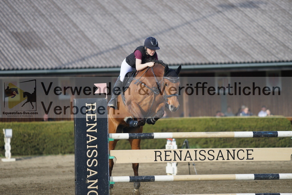 DSC03519 | equestrian-live-com