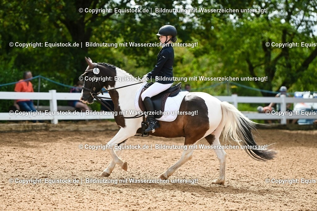 20230716_10-2_Reiter-WB Schritt - Trab - Galopp_0174 | equistock