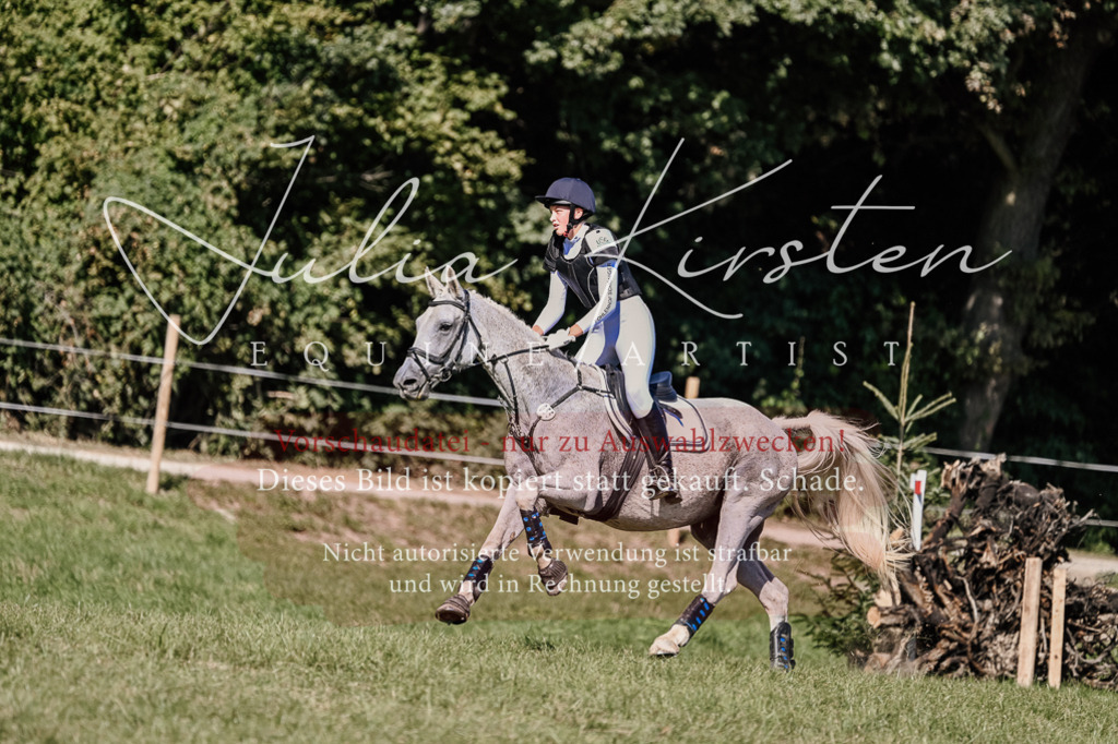 DSC_3029 | Pferde- und Turnierfotografie in Westsachsen. Pferdeportraits, Auftragszeichnungen und intuitive Kunst.