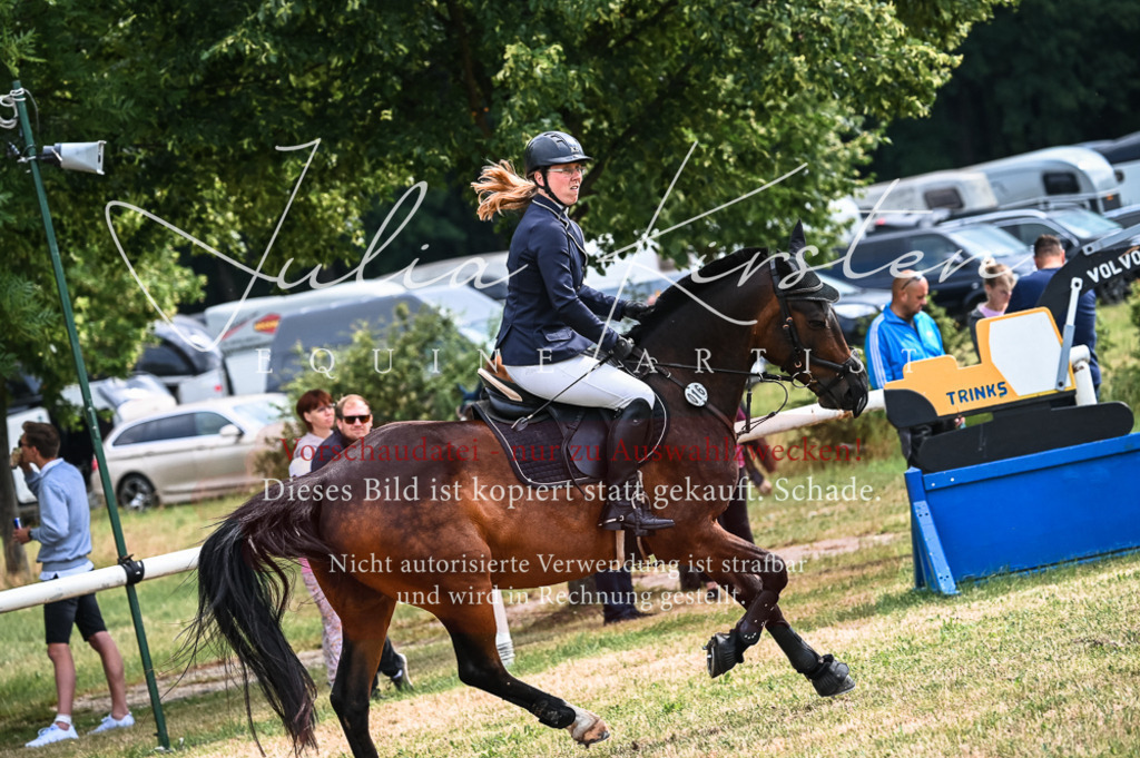 DSC_8253 | Pferde- und Turnierfotografie in Westsachsen. Pferdeportraits, Auftragszeichnungen und intuitive Kunst.