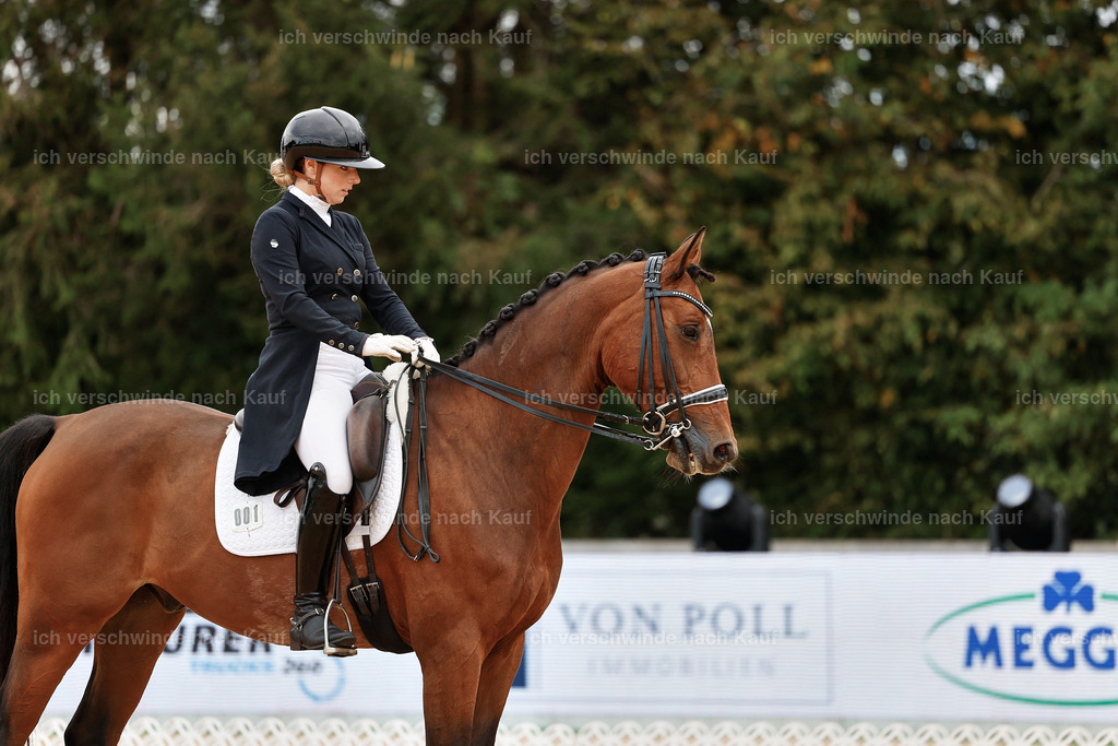 6-001-AMATUER-DRESSUR S_  -StoibPH-3546 | working equitationturnier fotograf videograf stoibphotography marixx film working equitation deutschland reitsport turnierfotografie eventfotografie equestrian events