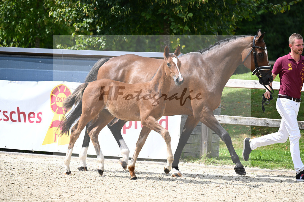Kannan x Colman_SF_Halama_29240396 | hf-fotografie - Realisiert mit Pictrs.com