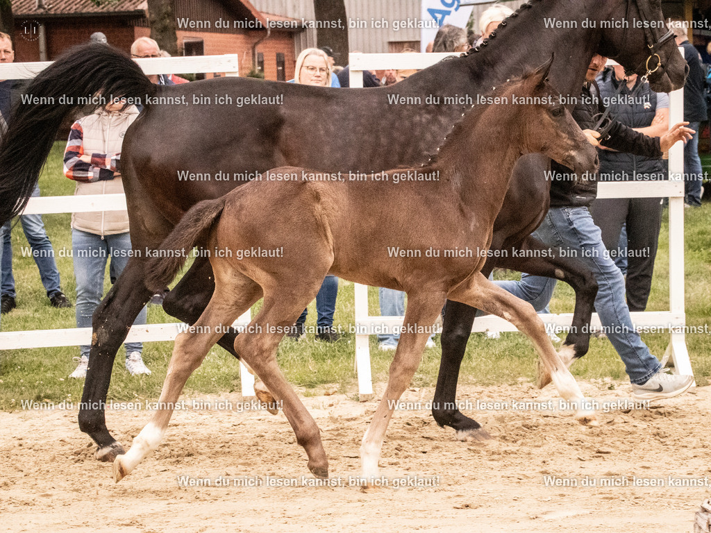 A10I0830 | photographylinaismer - Realisiert mit Pictrs.com