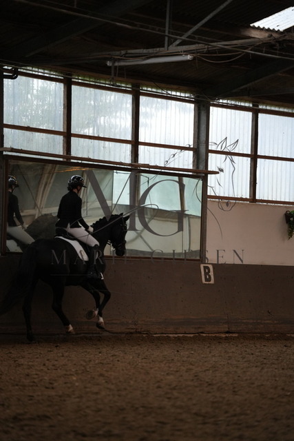 DSC06267 | Pferdefotografie in Köln und Umgebung – emotionale Pferdeshootings, Turnierfotografie und besondere Momente zwischen Pferd und Mensch. - Realisiert mit Pictrs.com