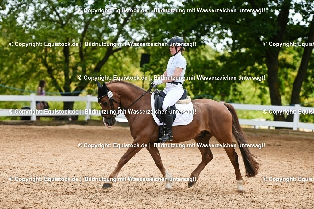 20230715_05_Dressurprüfung Kl.A++_0218 | equistock