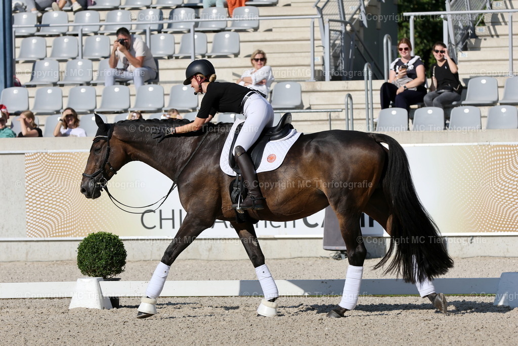 Live-TrainingJ.v.Bredow-Werndl21.09.24MC3H5A6383B | Pferdefotos online bestellen - Realisiert mit Pictrs.com