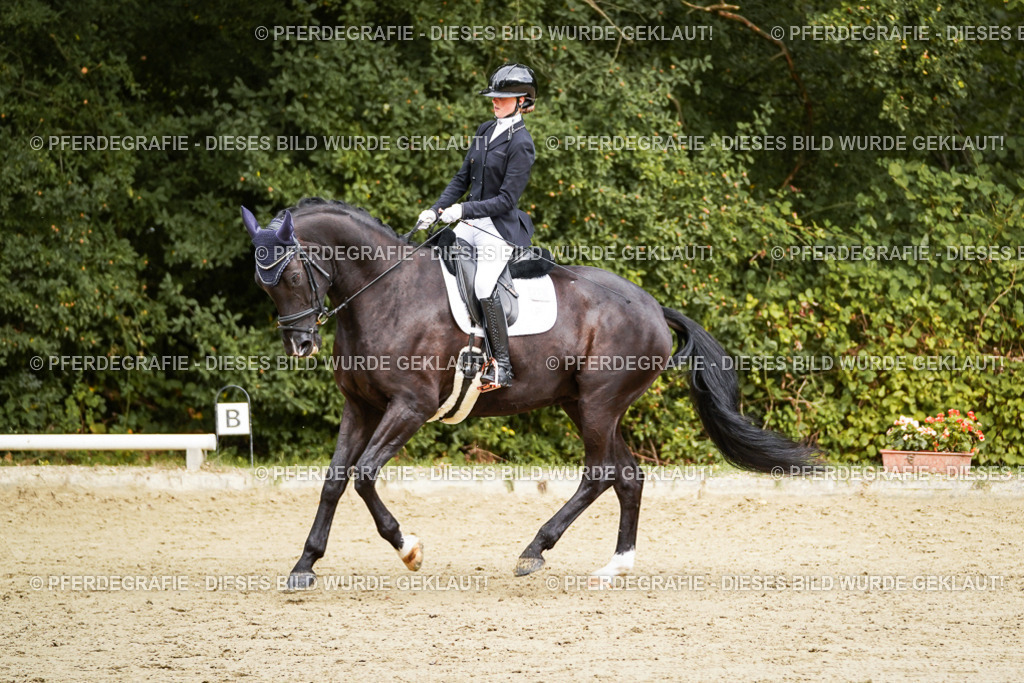 DSC09982 | Pferdegrafie