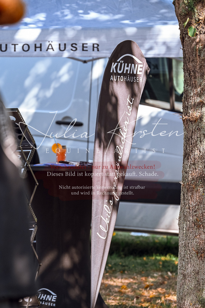 DSC_6600 | Pferde- und Turnierfotografie in Westsachsen. Pferdeportraits, Auftragszeichnungen und intuitive Kunst.