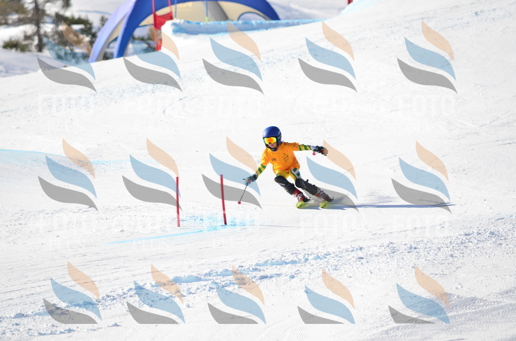 C6040 | holidayphoto